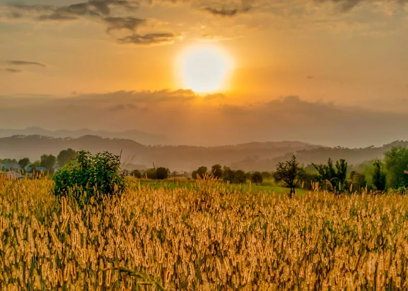 Bir, India