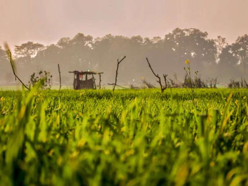 Jim Corbett