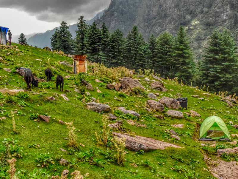 Kheerganga Summit