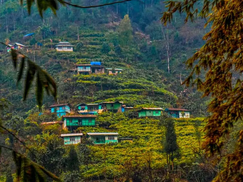 Pelling
