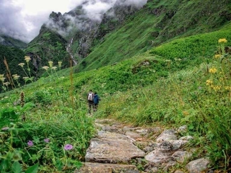 Valley of Flowers Trek 2022 Do it in Under Rs. 2500 Meander Wander