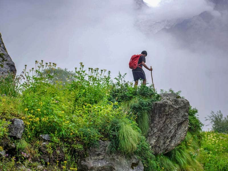 Trek to Valley of Flowers