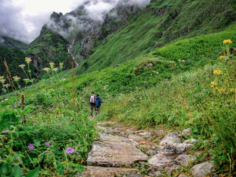 Valley of Flowers