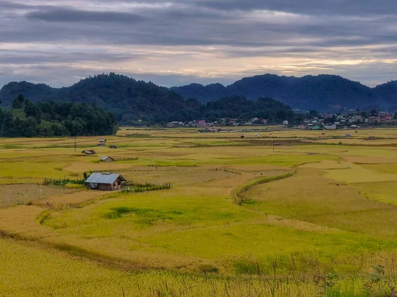 Ziro