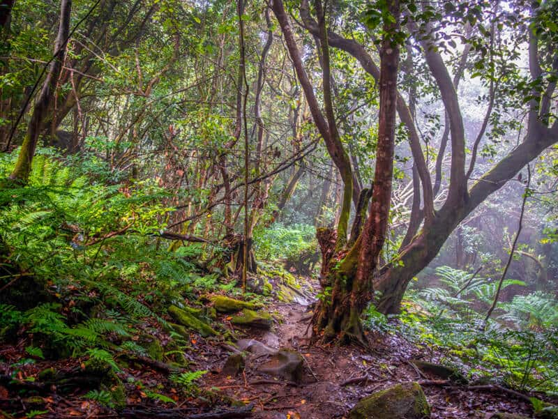 Hiking Trails in Seychelles