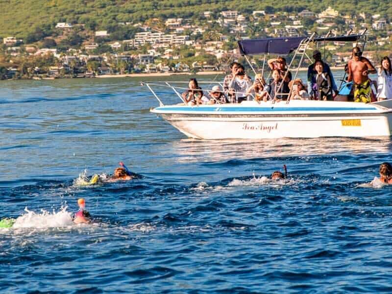 Dolphin Tour