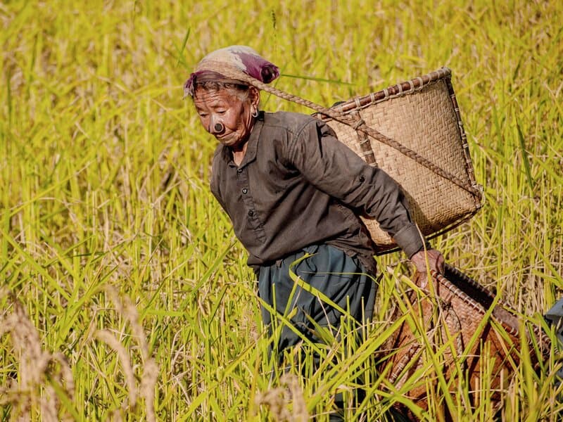 Ziro Village Tour