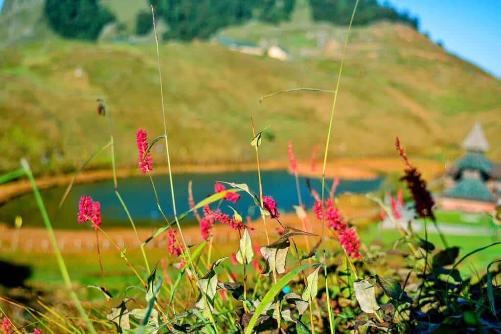 Prashar Lake