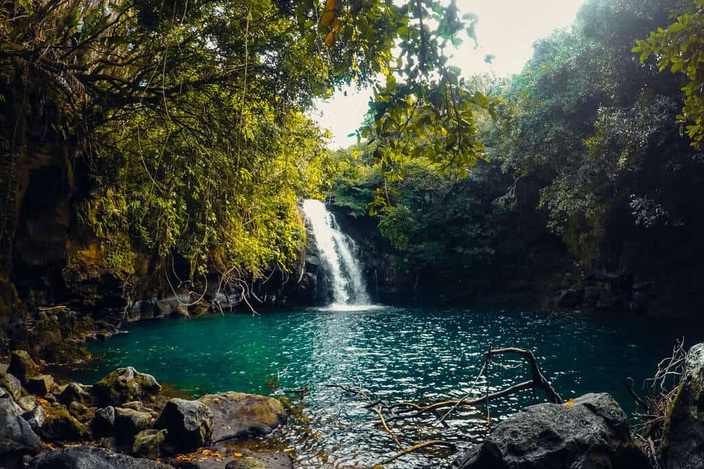 Mauritius Island on Instagram: Eau Bleue waterfall What place