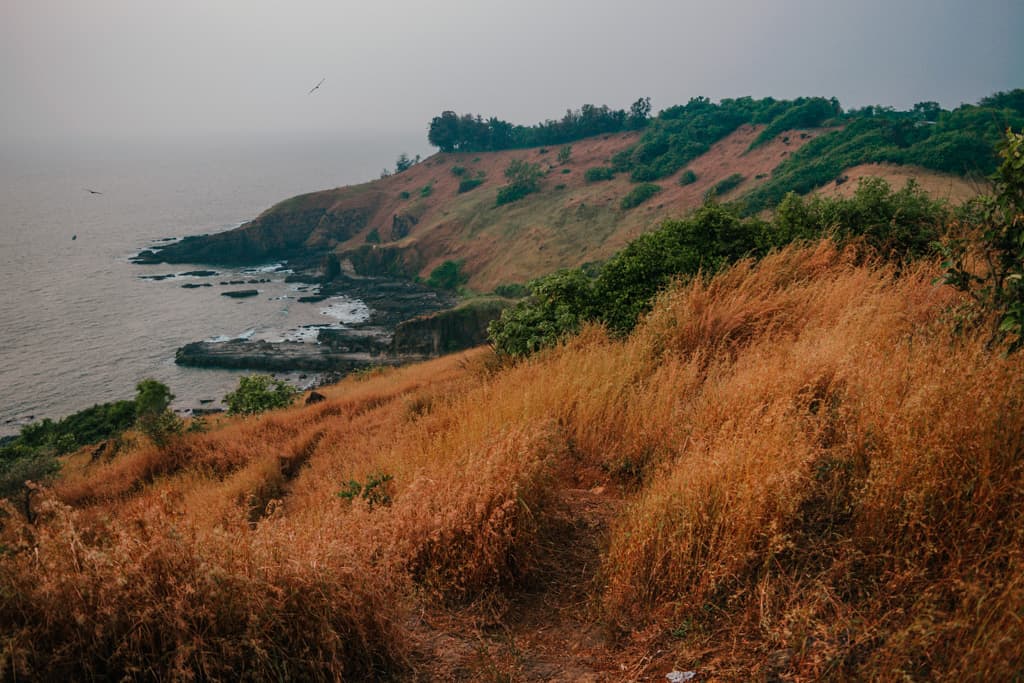 Aguada Fort Hike