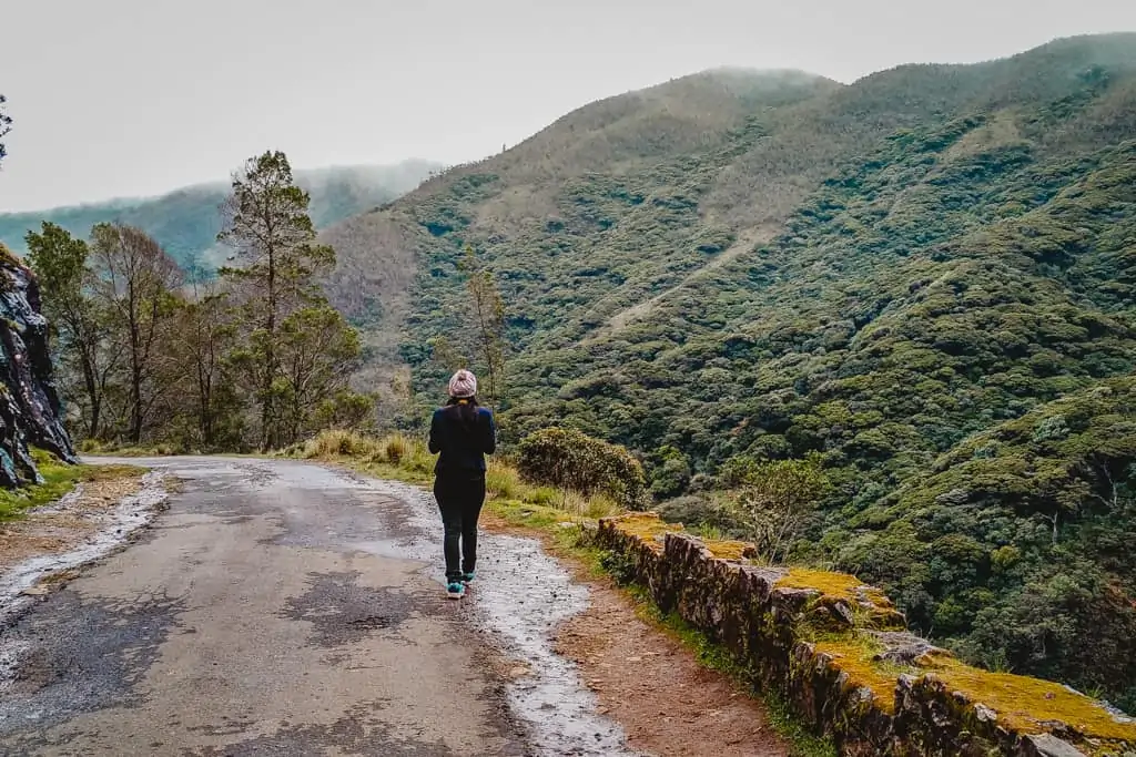 Ooty - Avalanche Forest Reserve