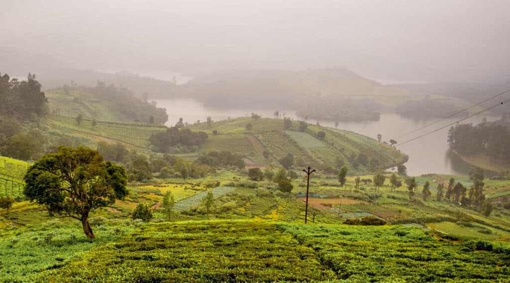 15 Amazing Things to Do in Ooty in 2023 Meander Wander