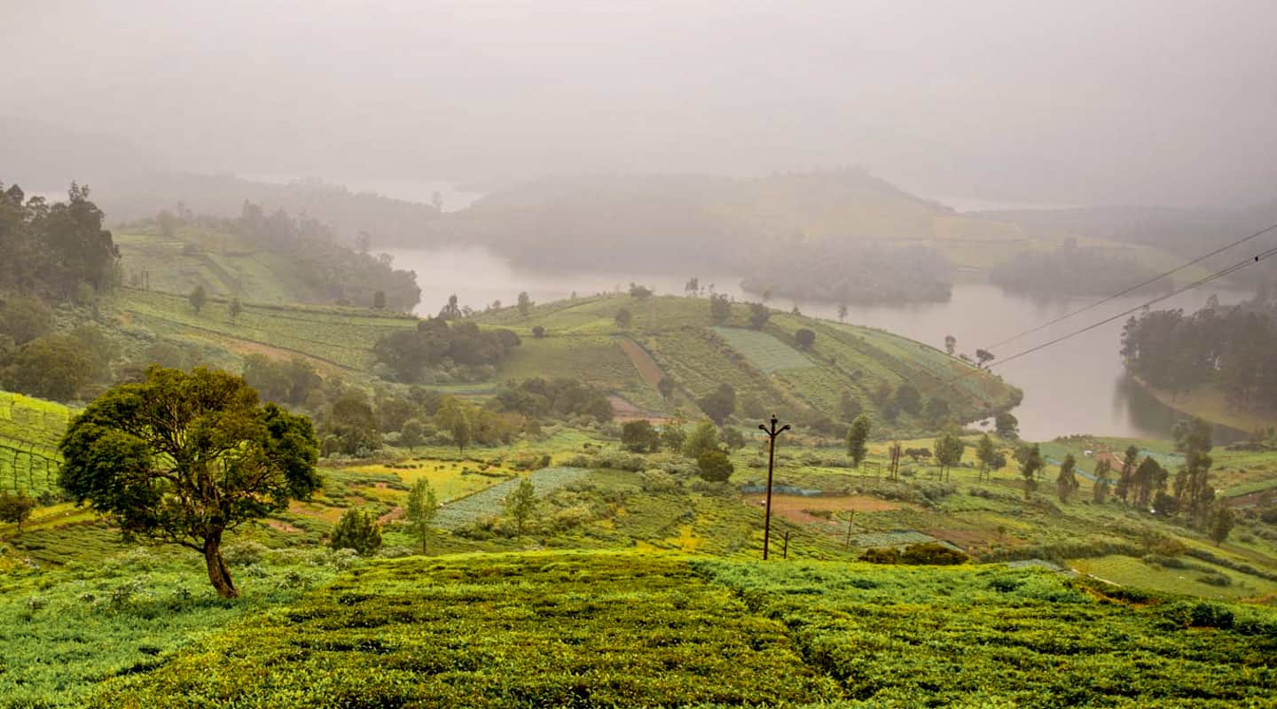 things to do in ooty