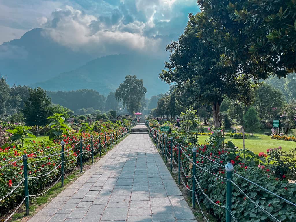 walkway in a garden