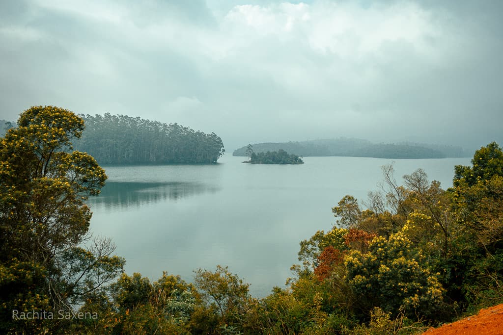 lake surrounded by foliage ooty itinerary
