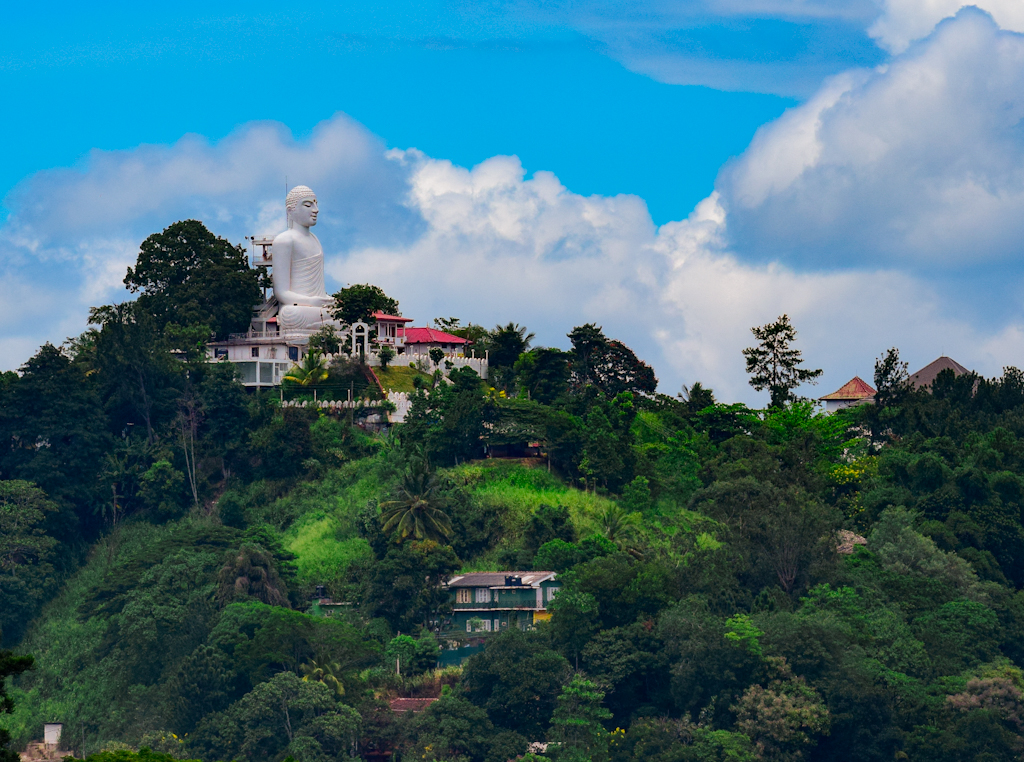 White statue of Buddha surrounded by trees and houses