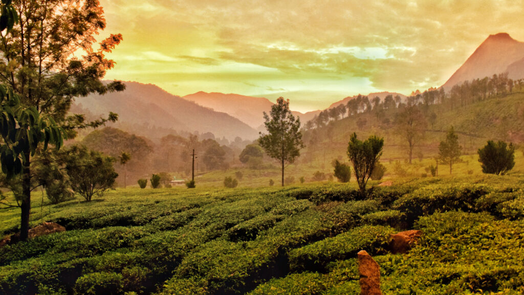 Kerala Itinerary for 14 Days: Munnar to Trivandrum in 10,000 INR ...