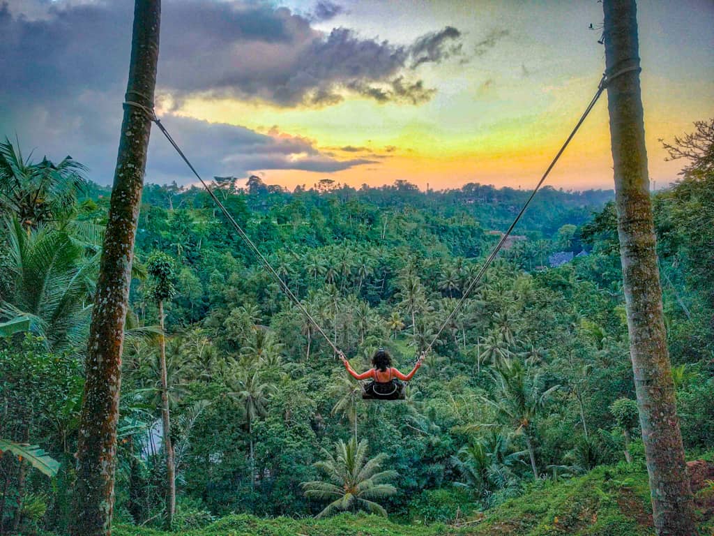girl on a swing surrounded by the forest