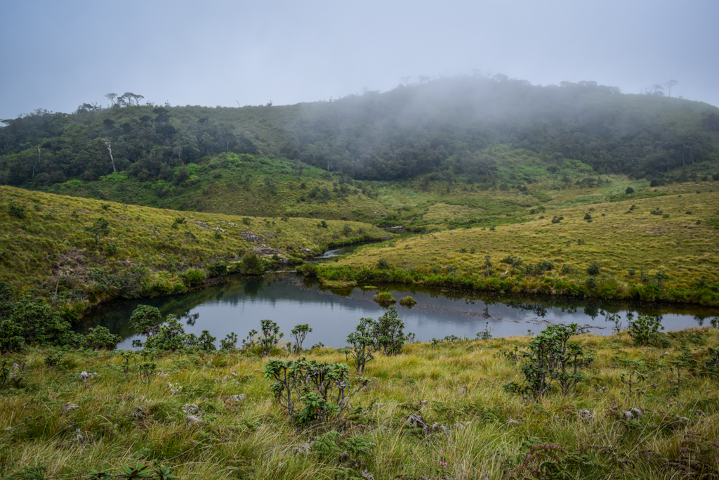 Green vegetation and hills surrounding a small body of water Sri Lanka Itinerary