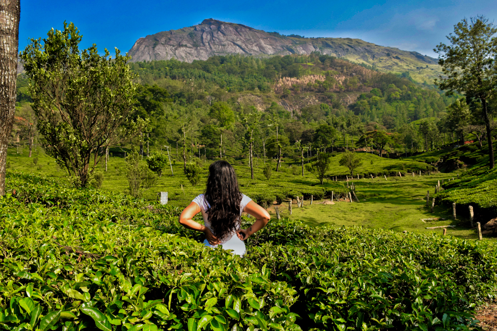 girl standing in the middle of a tea estate