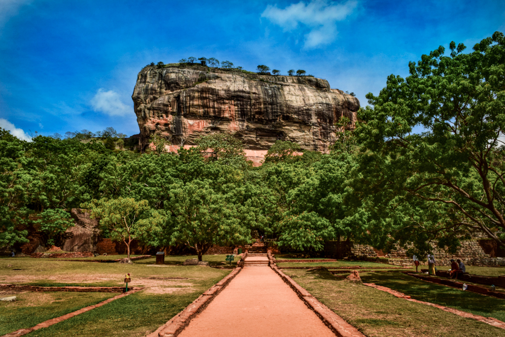 Big rock mountain surrounded by trees