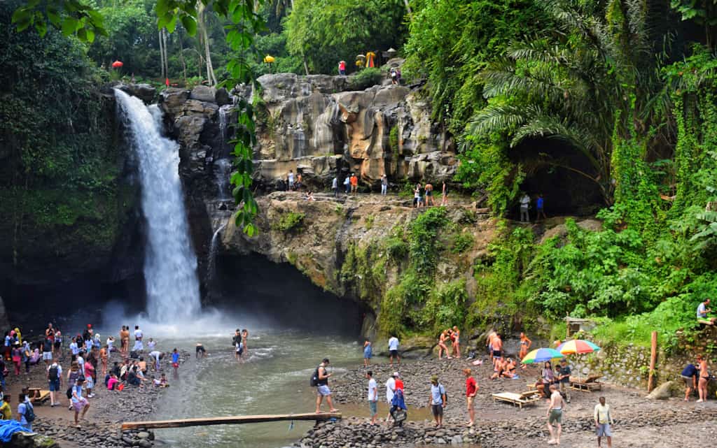 waterfall surrounded by people and trees